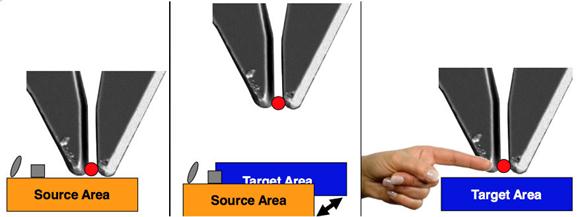 纳米操纵机械手夹取颗料或样品示意图